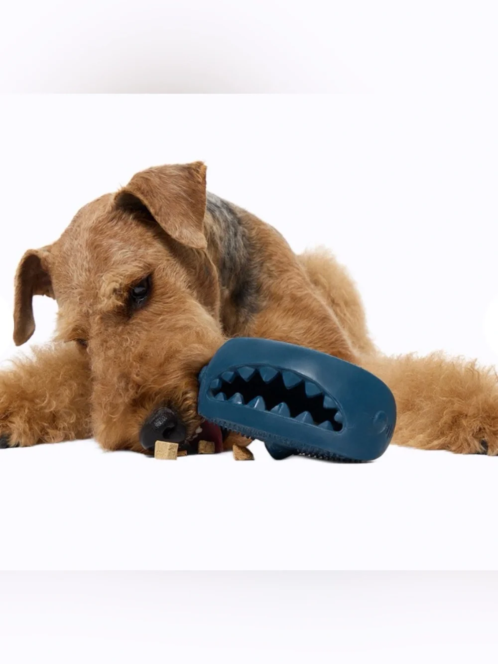 Bark Box Super Chewer Hammer Fed Shark M-L solid rubber dog toy NEW treat dispen